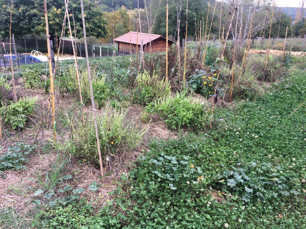 Concevoir un potager en permaculture